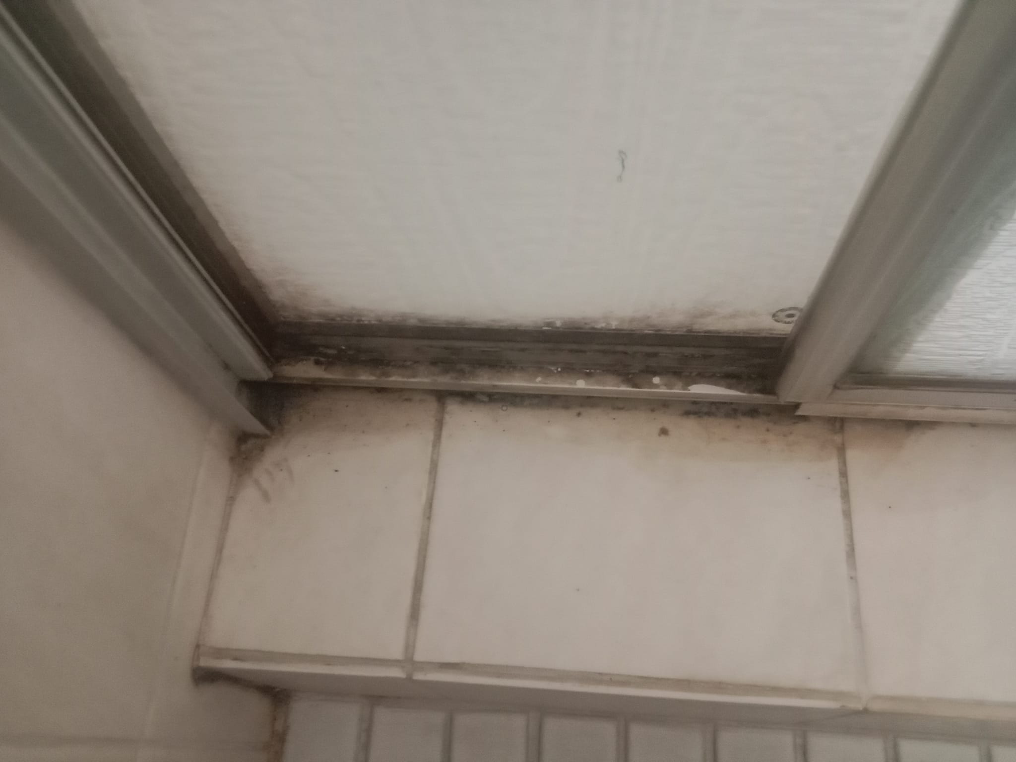 Moldy dirty window frame before cleaning